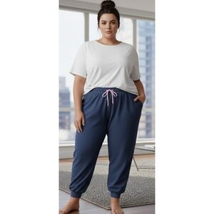 Wild Fable Cinch Waist Baggy Joggers Slate Blue Size 3X